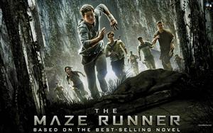 The Maze Runner